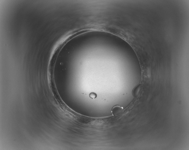 X0000068260294200604281533