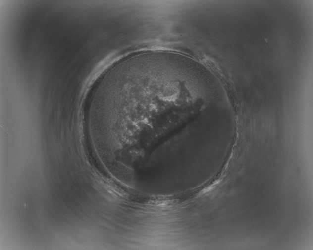 X0000068260295200604281533