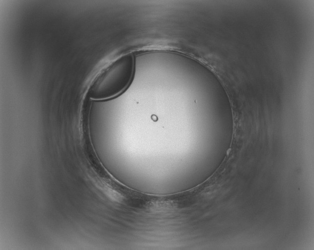 X0000068260296200604281533