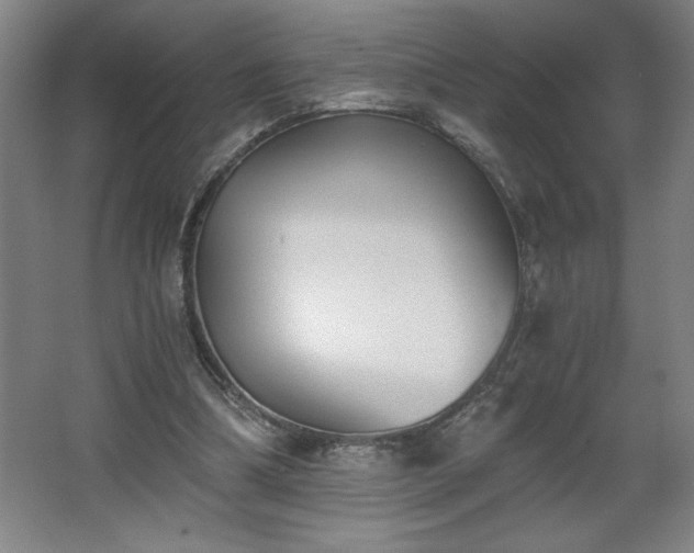 X0000068260298200604281533