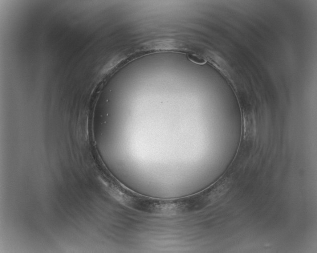 X0000068260301200604281533