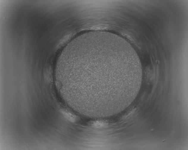 X0000068260303200604281532