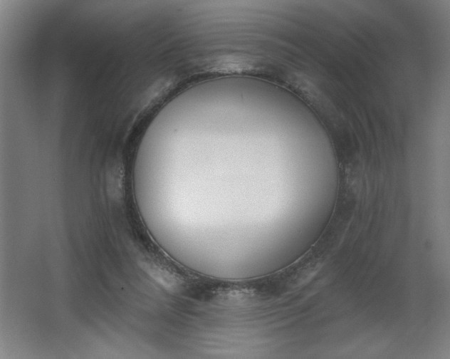 X0000068260304200604281532