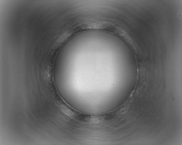 X0000068260305200604281532