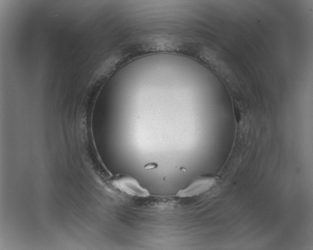 X0000068260306200604281532