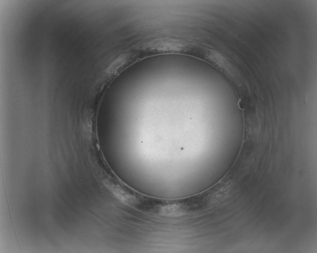 X0000068260309200604281532