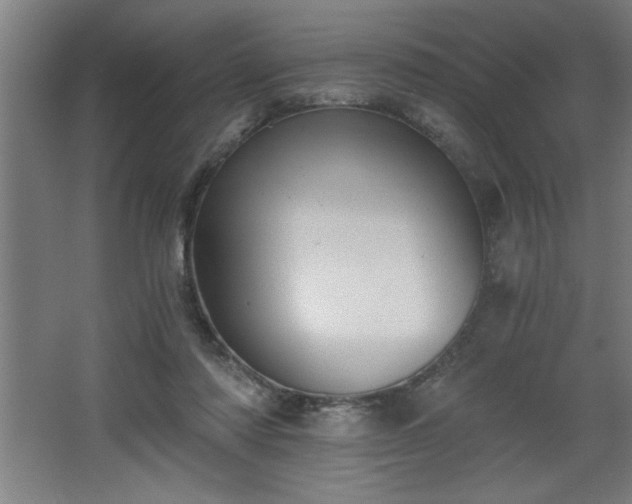 X0000068260310200604281532