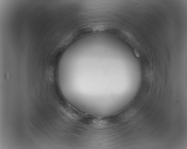 X0000068260311200604281532