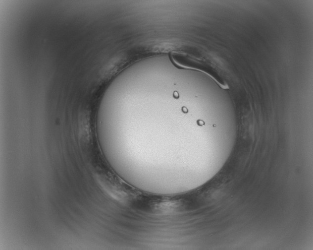 X0000068260312200604281532