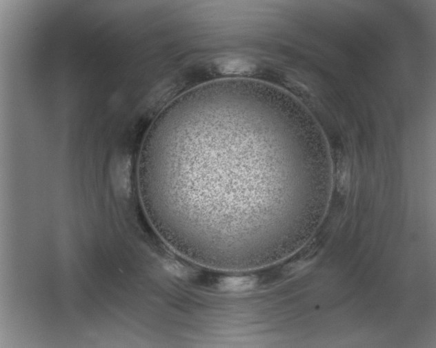 X0000068260319200604281532