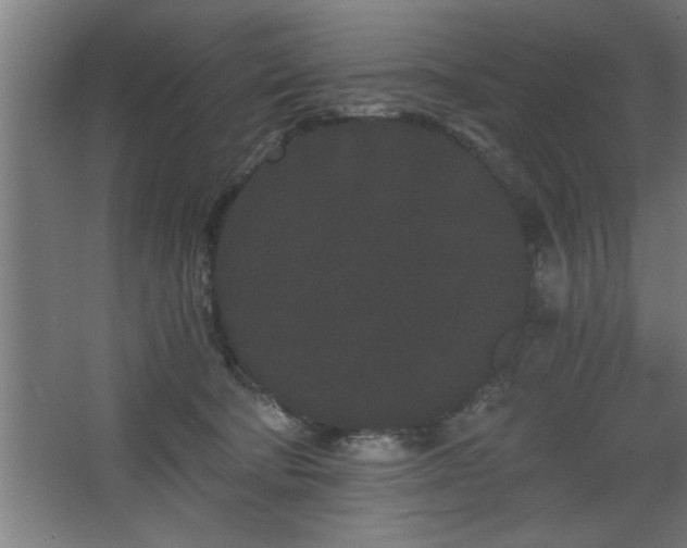 X0000068260322200604281532