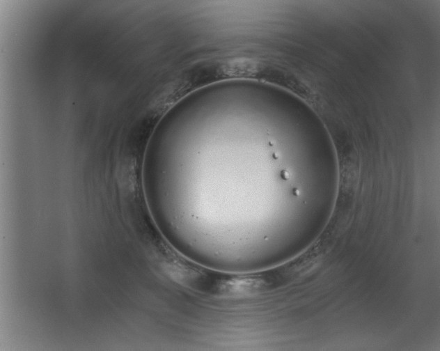 X0000068260323200604281532