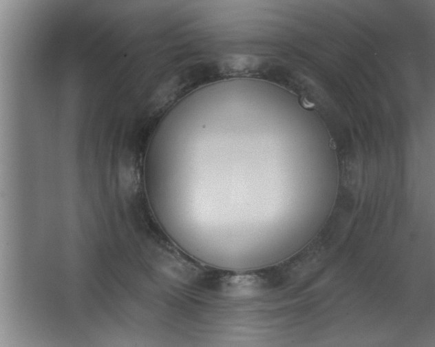 X0000068260324200604281532