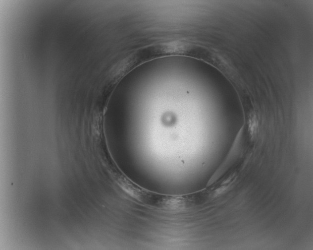 X0000068260325200604281532