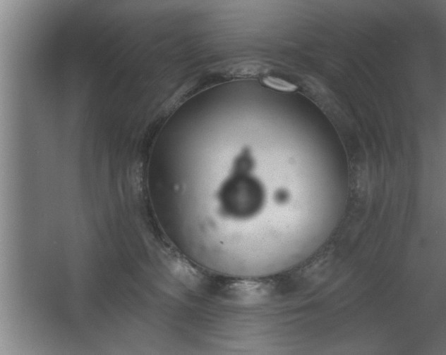 X0000068260326200604281532