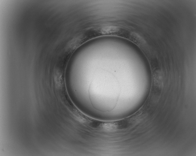 X0000068260327200604281532