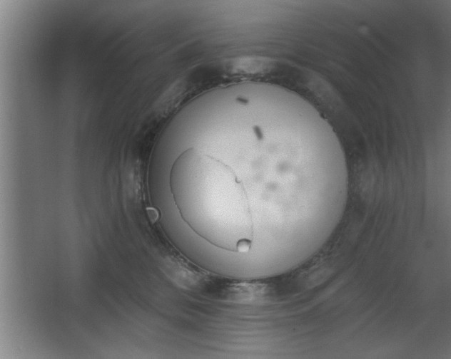 X0000068260328200604281532