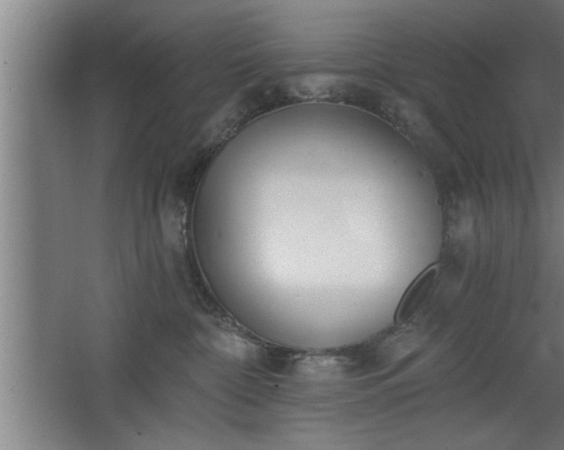 X0000068260332200604281532