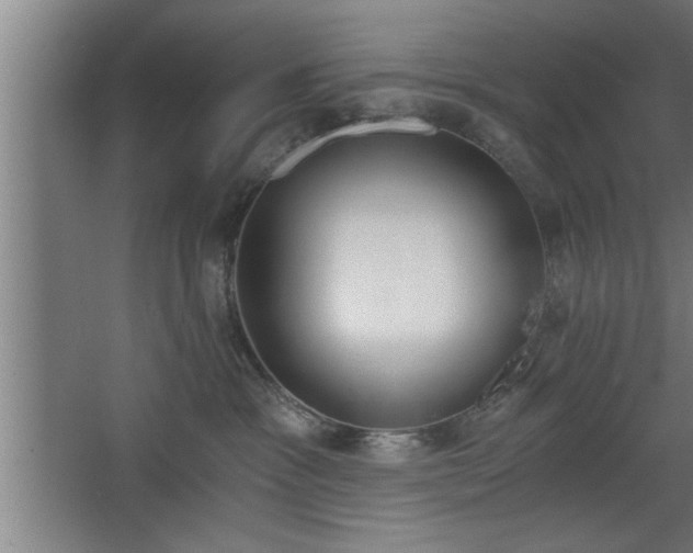 X0000068260333200604281532