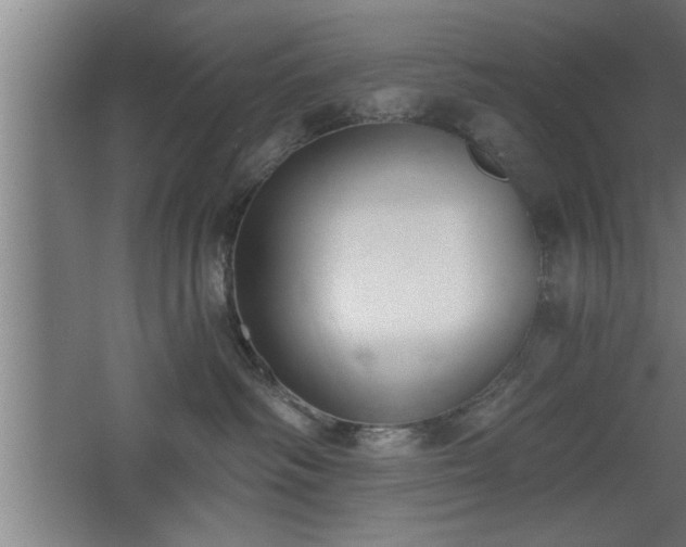 X0000068260334200604281532