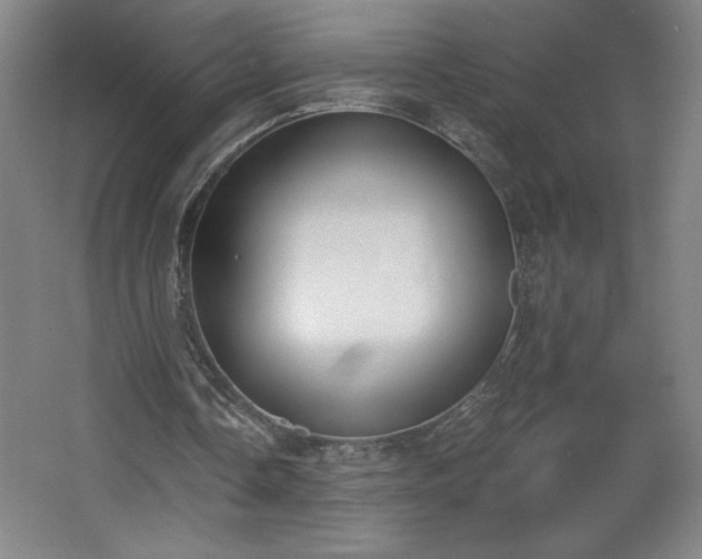 X0000068260338200604281531