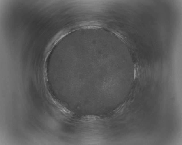 X0000068260339200604281531