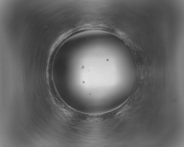 X0000068260340200604281531