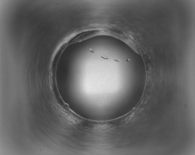 X0000068260342200604281531