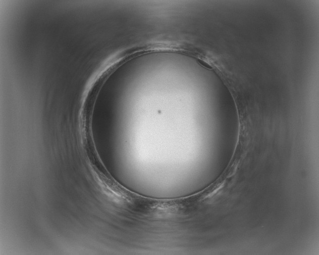 X0000068260343200604281531