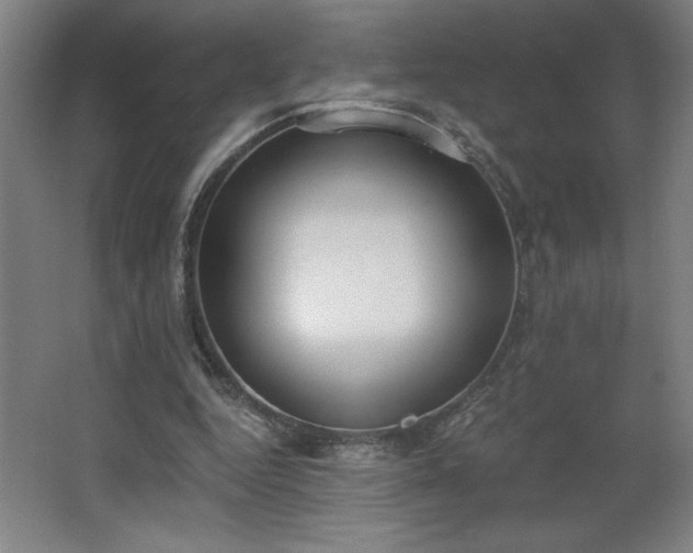 X0000068260344200604281531