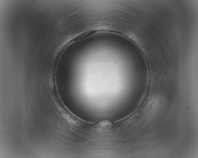 X0000068260345200604281531