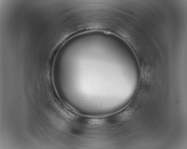 X0000068260347200604281531