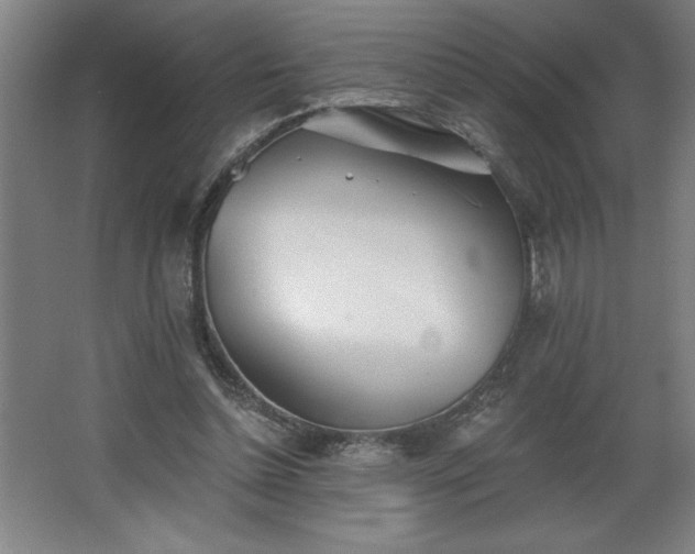 X0000068260348200604281531