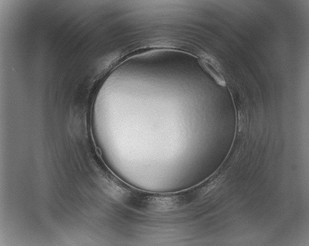 X0000068260349200604281531