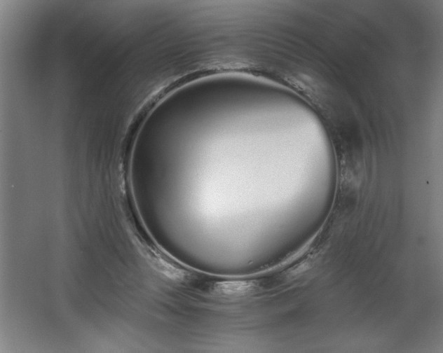 X0000068260351200604281531