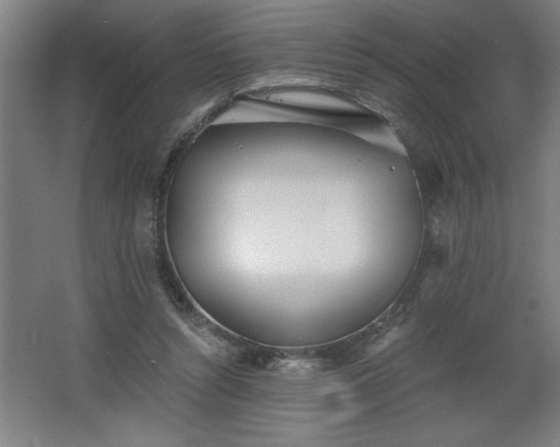 X0000068260352200604281531