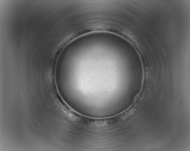 X0000068260353200604281531