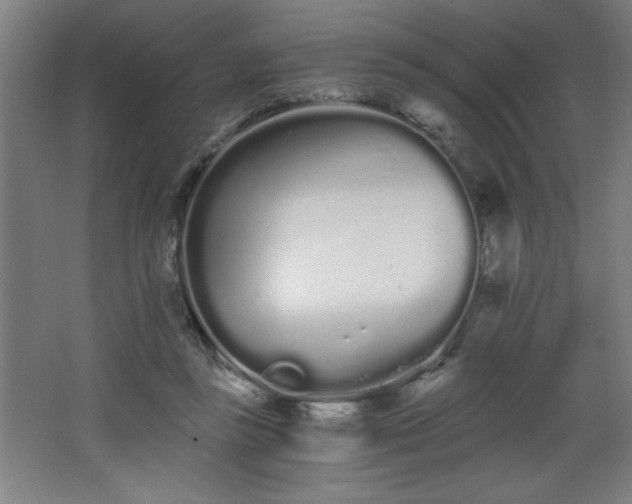 X0000068260355200604281531