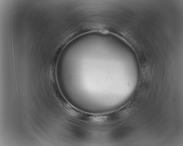 X0000068260359200604281531