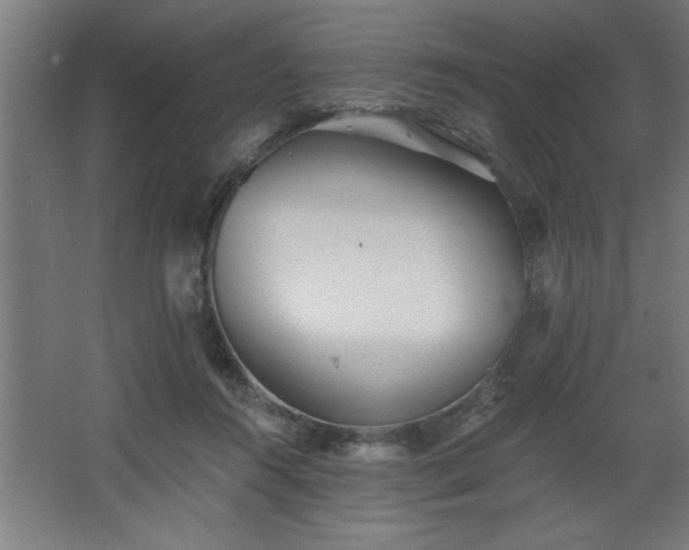 X0000068260360200604281532