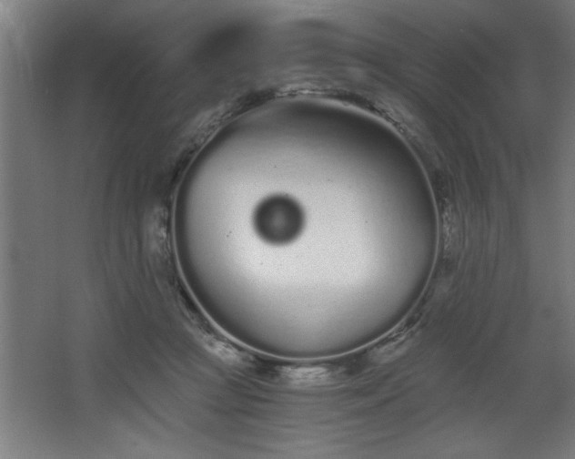 X0000068260361200604281532