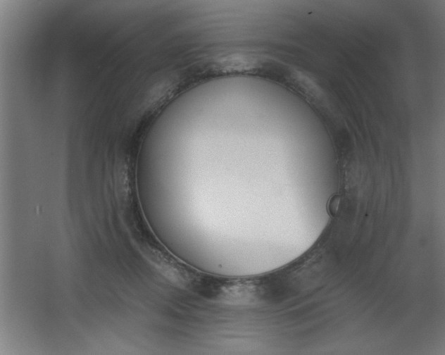 X0000068260362200604281532