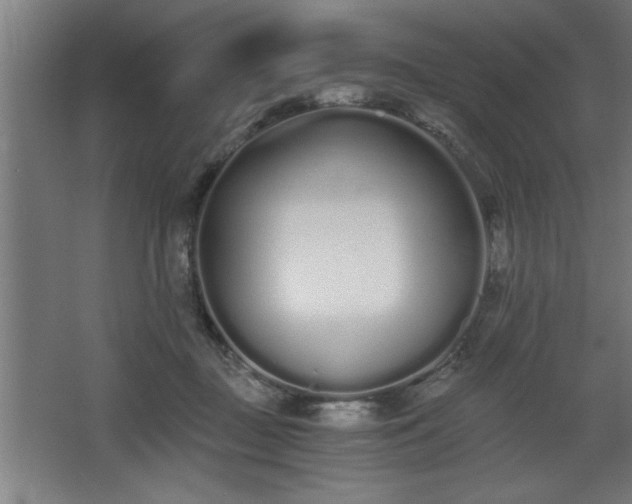 X0000068260363200604281532