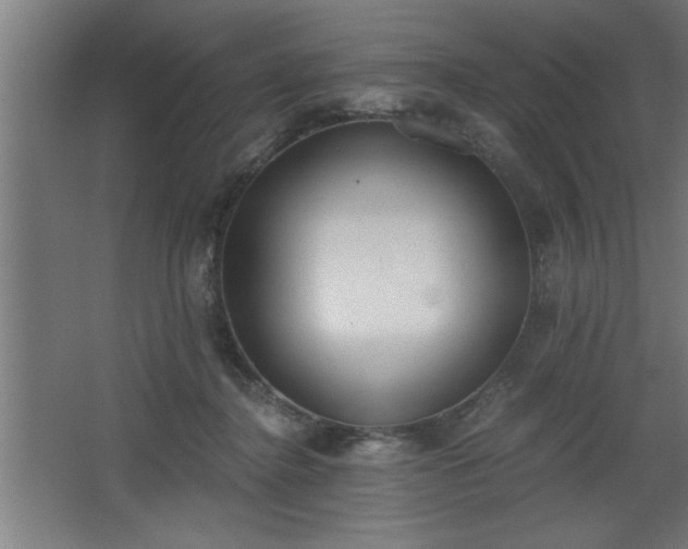 X0000068260364200604281532