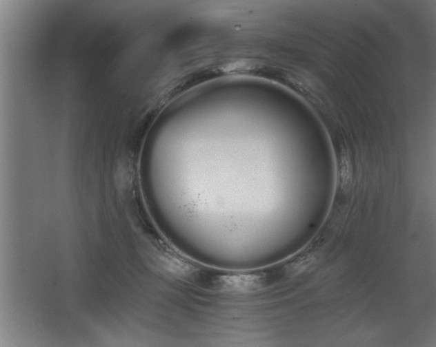 X0000068260367200604281532