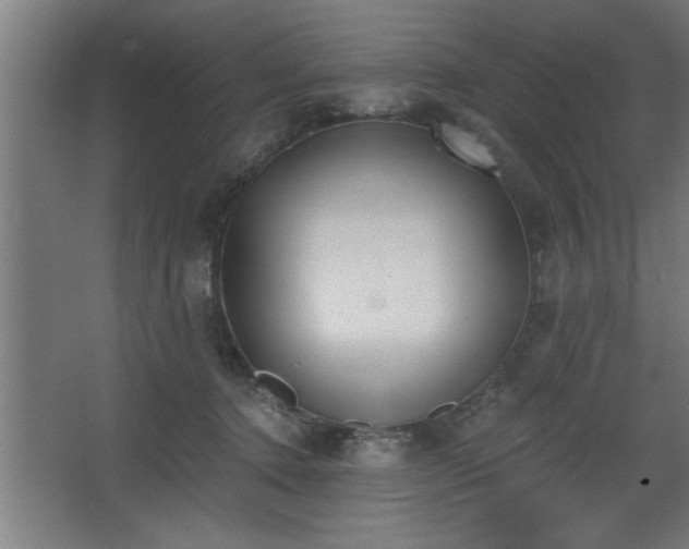 X0000068260368200604281532