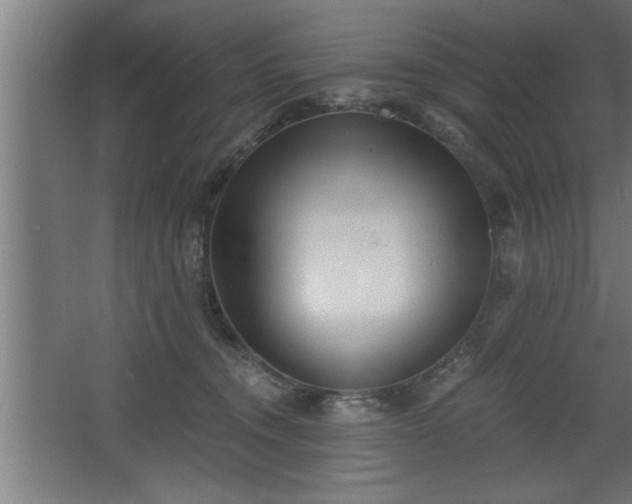 X0000068260372200604281532