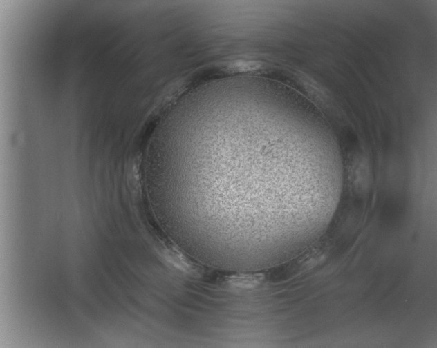 X0000068260373200604281532