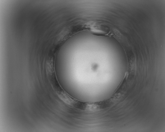 X0000068260376200604281532