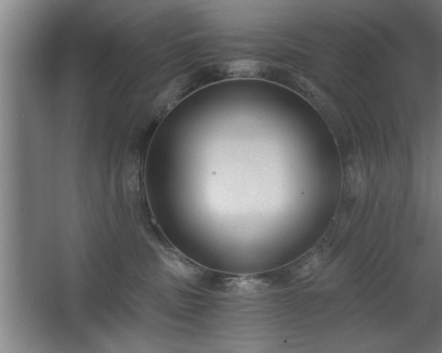 X0000068260379200604281532